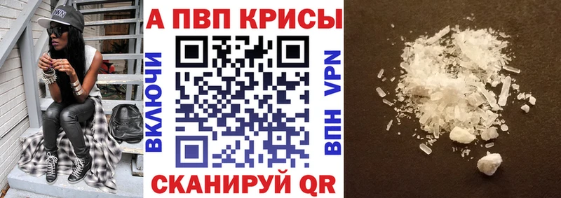 A-PVP СК КРИС  Суворов 