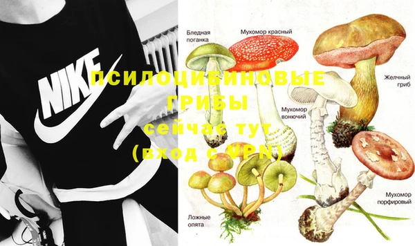 Альфа ПВП Сатка