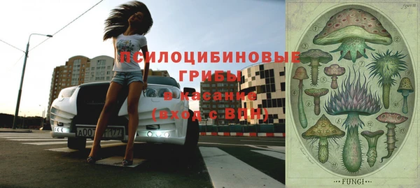 бошки Саяногорск