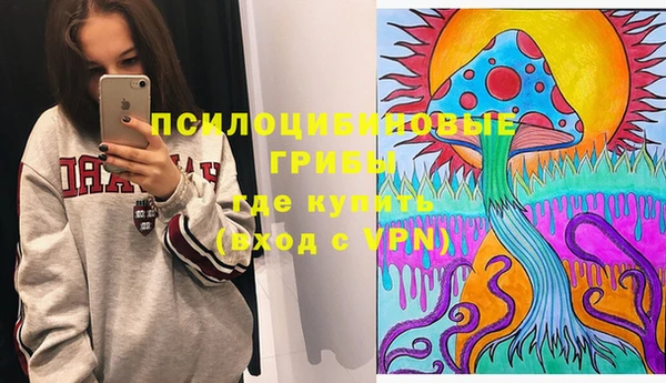Альфа ПВП Сатка